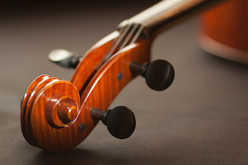 Violino